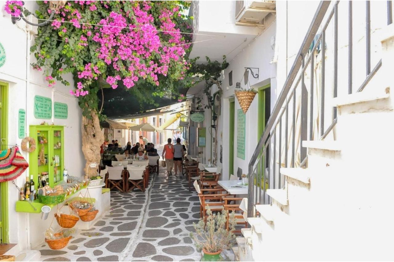 Livadia Seaside Studios 14 Páros Exteriör bild